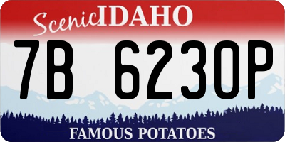 ID license plate 7B6230P