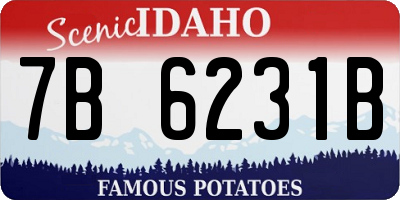 ID license plate 7B6231B