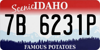 ID license plate 7B6231P