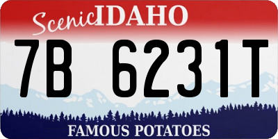 ID license plate 7B6231T