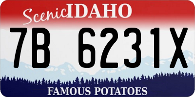 ID license plate 7B6231X