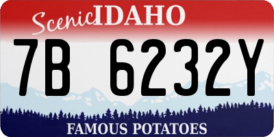 ID license plate 7B6232Y