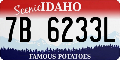 ID license plate 7B6233L