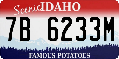 ID license plate 7B6233M