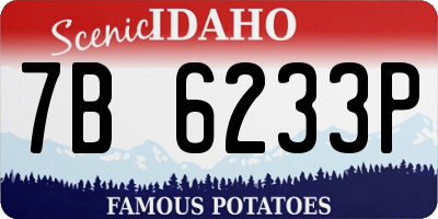 ID license plate 7B6233P