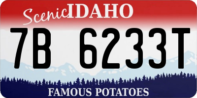 ID license plate 7B6233T