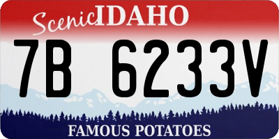 ID license plate 7B6233V