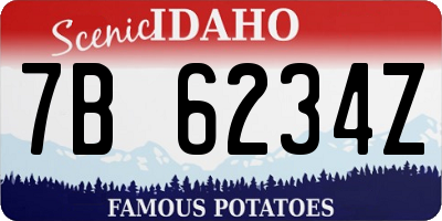 ID license plate 7B6234Z
