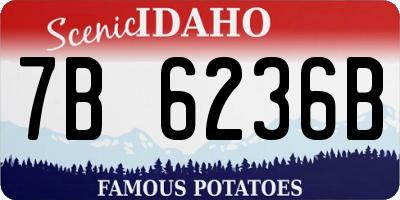 ID license plate 7B6236B