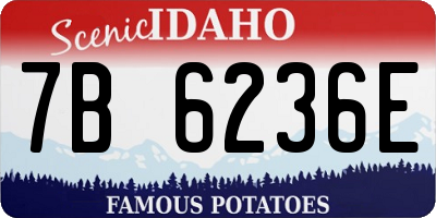 ID license plate 7B6236E