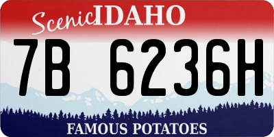 ID license plate 7B6236H