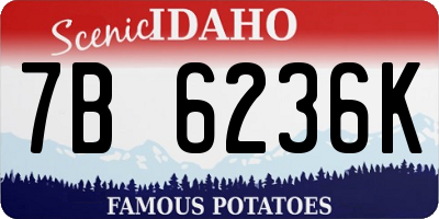 ID license plate 7B6236K