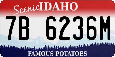 ID license plate 7B6236M