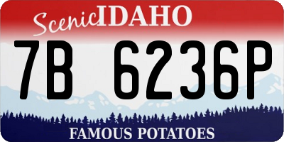 ID license plate 7B6236P