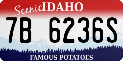 ID license plate 7B6236S