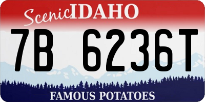 ID license plate 7B6236T