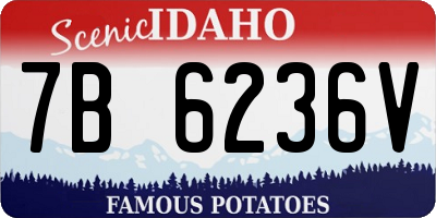 ID license plate 7B6236V