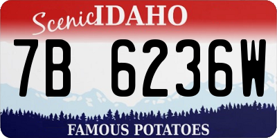 ID license plate 7B6236W