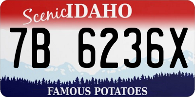 ID license plate 7B6236X