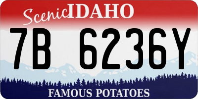 ID license plate 7B6236Y