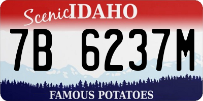 ID license plate 7B6237M