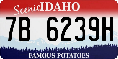 ID license plate 7B6239H