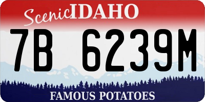 ID license plate 7B6239M