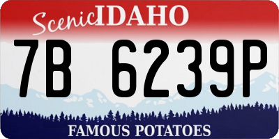 ID license plate 7B6239P
