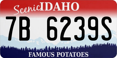 ID license plate 7B6239S