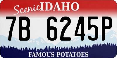 ID license plate 7B6245P
