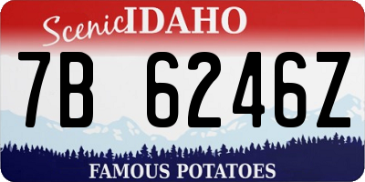 ID license plate 7B6246Z