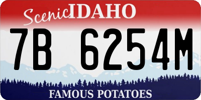 ID license plate 7B6254M