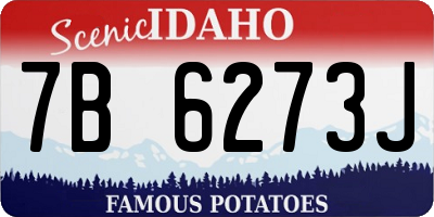 ID license plate 7B6273J