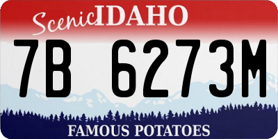 ID license plate 7B6273M