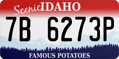 ID license plate 7B6273P