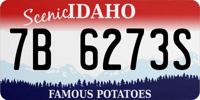 ID license plate 7B6273S