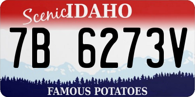 ID license plate 7B6273V