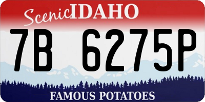 ID license plate 7B6275P