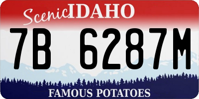 ID license plate 7B6287M