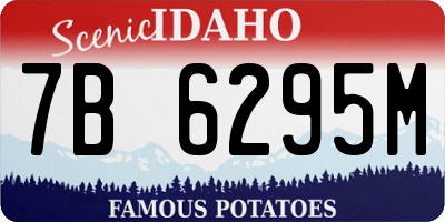 ID license plate 7B6295M
