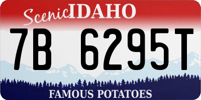 ID license plate 7B6295T