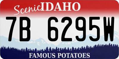 ID license plate 7B6295W