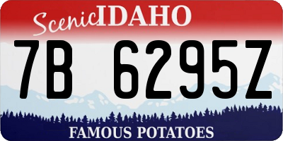 ID license plate 7B6295Z