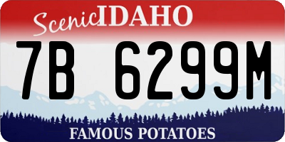 ID license plate 7B6299M