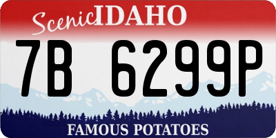 ID license plate 7B6299P
