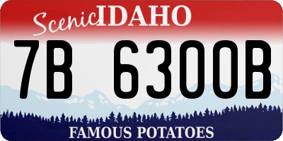 ID license plate 7B6300B