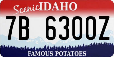 ID license plate 7B6300Z