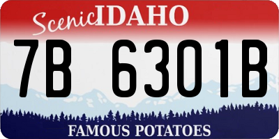 ID license plate 7B6301B