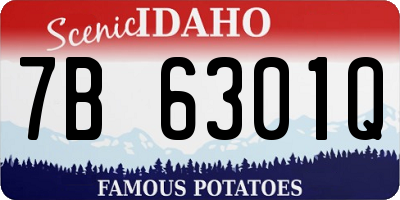 ID license plate 7B6301Q