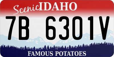 ID license plate 7B6301V